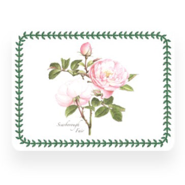 Botanic Roses Placemats S/6