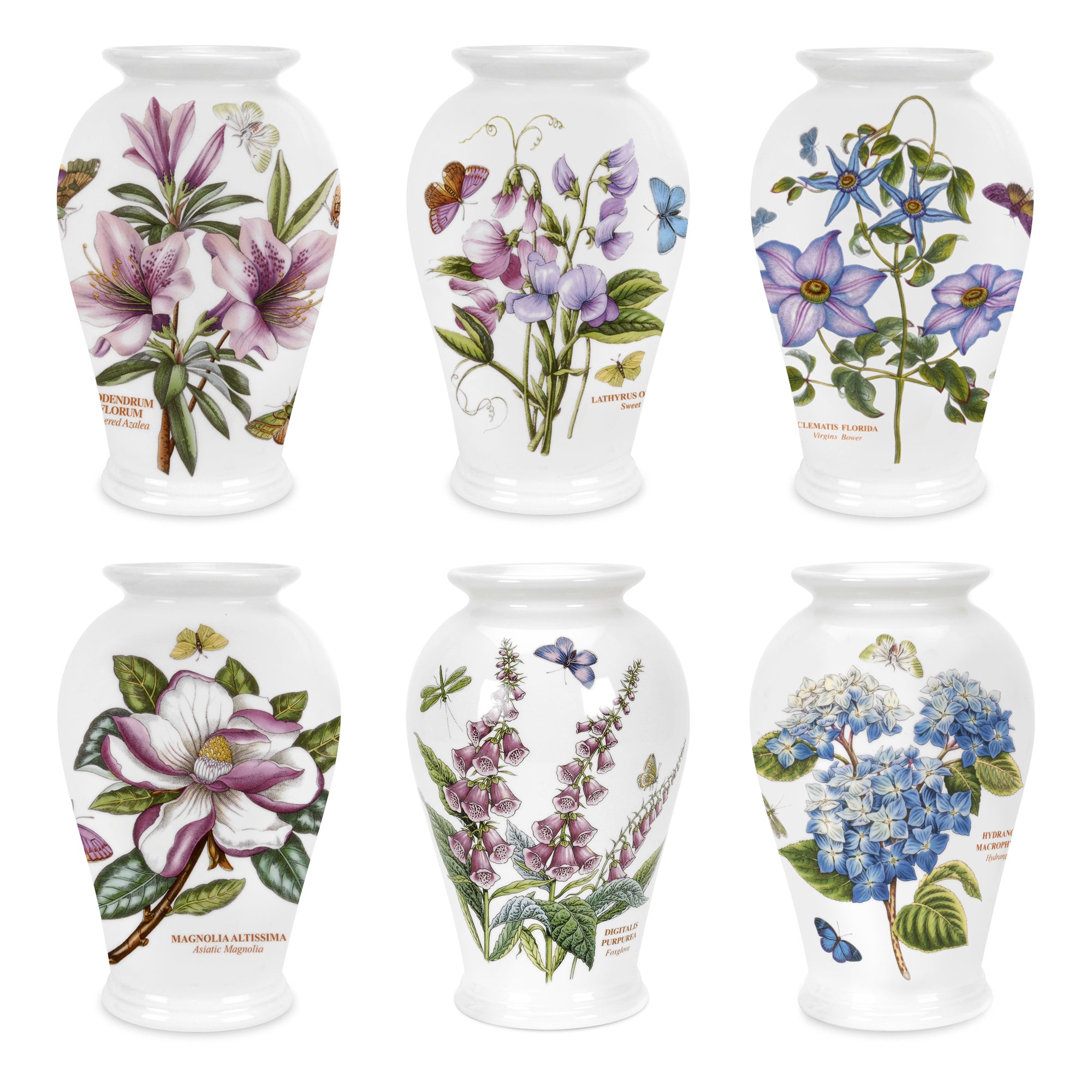 Botanic Garden Canton Vase 20cm h Single