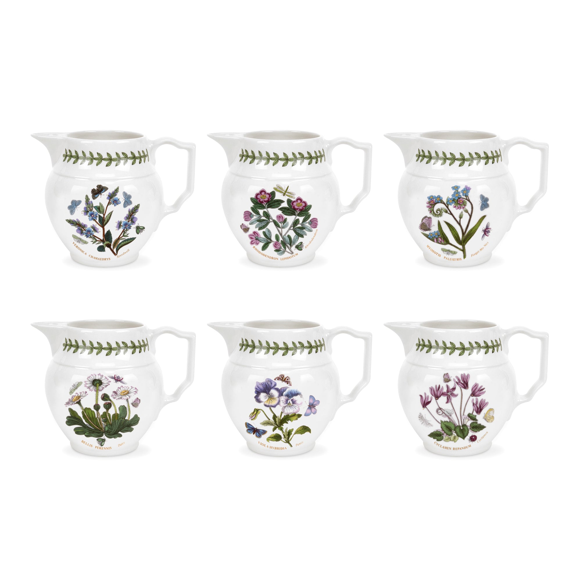 Botanic Garden Staffordshire Jug 0.30L Single