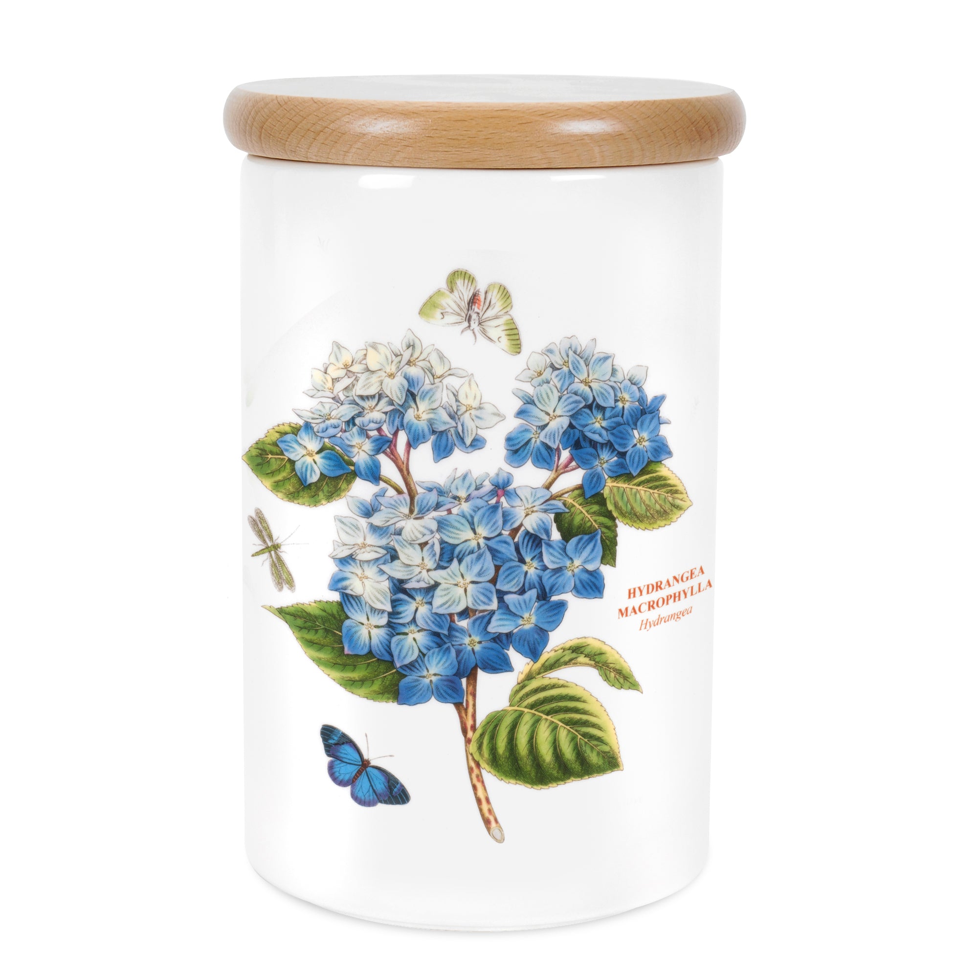 Botanic Garden Airtight Jar 20cm h Single
