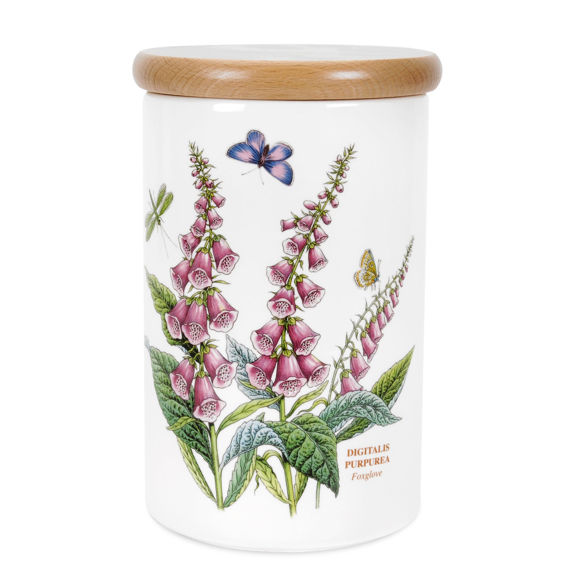 Botanic Garden Airtight Jar 20cm h Single