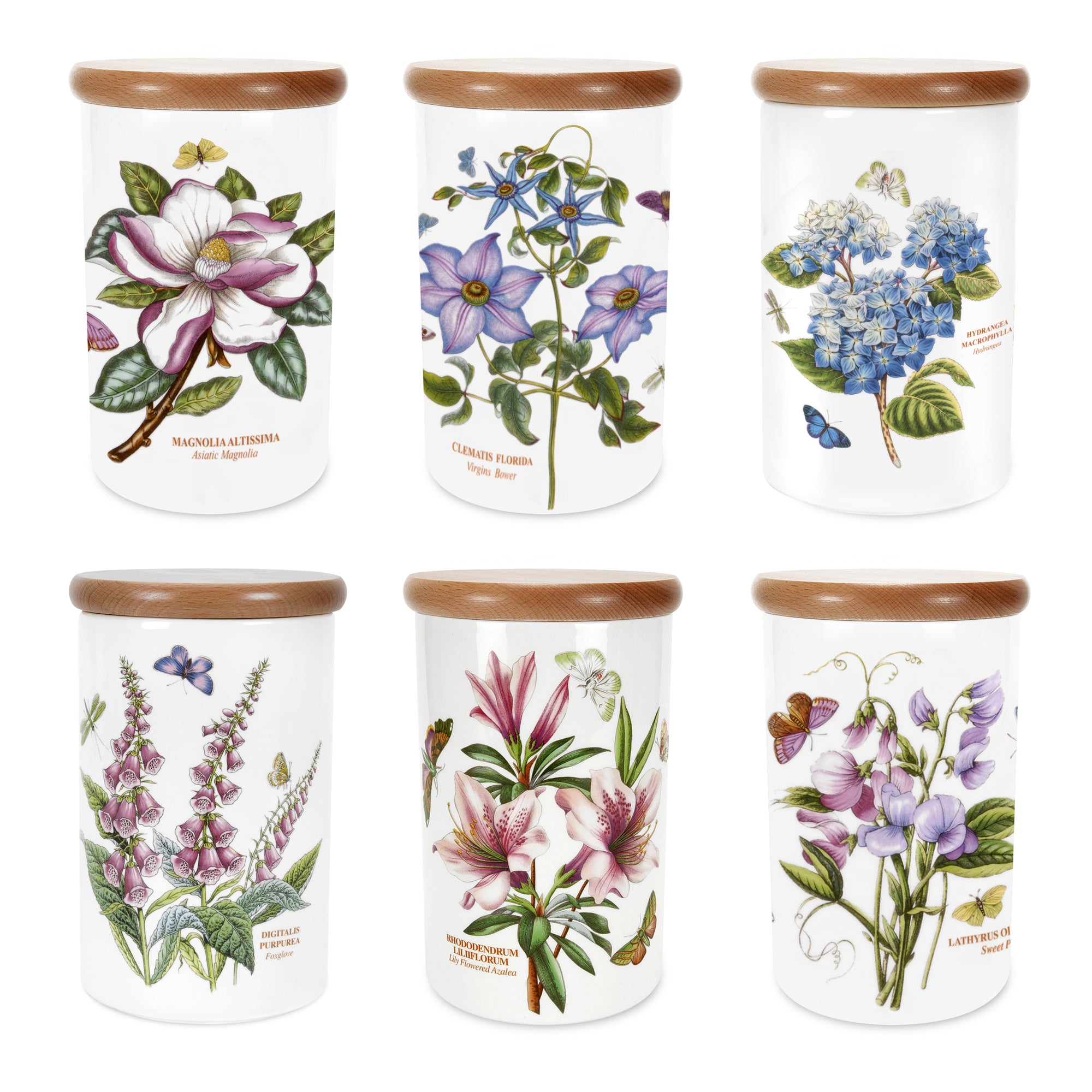 Botanic Garden Airtight Jar 20cm h Single