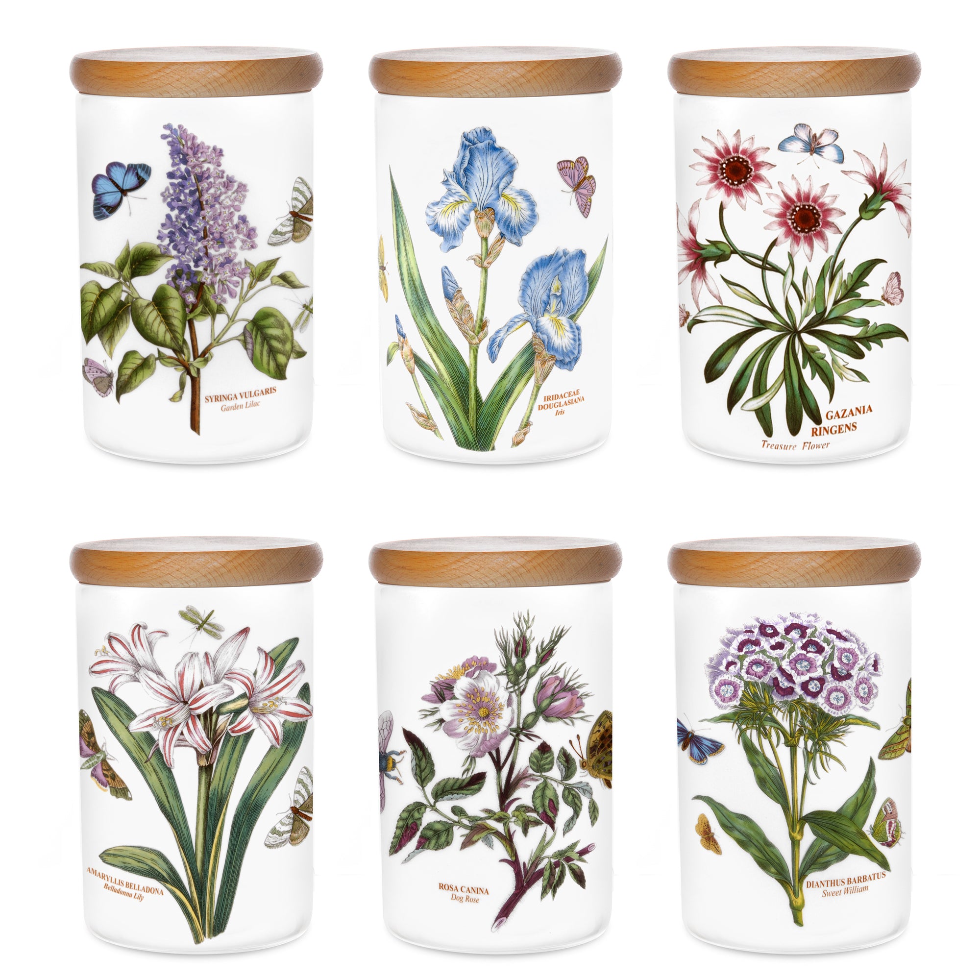 Botanic Garden Airtight Jar 18cm h Single