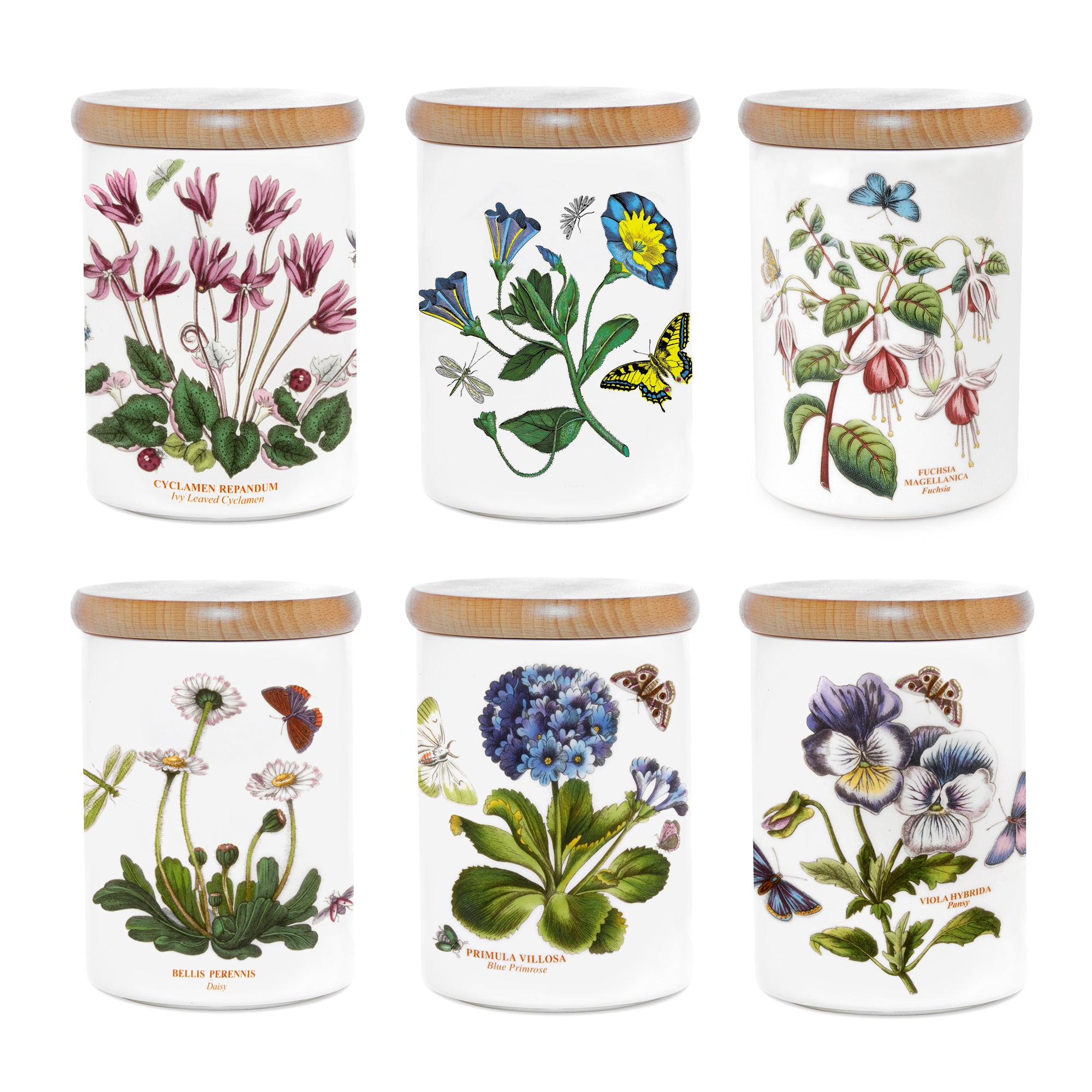 Botanic Garden Airtight Jar 14cm h Single