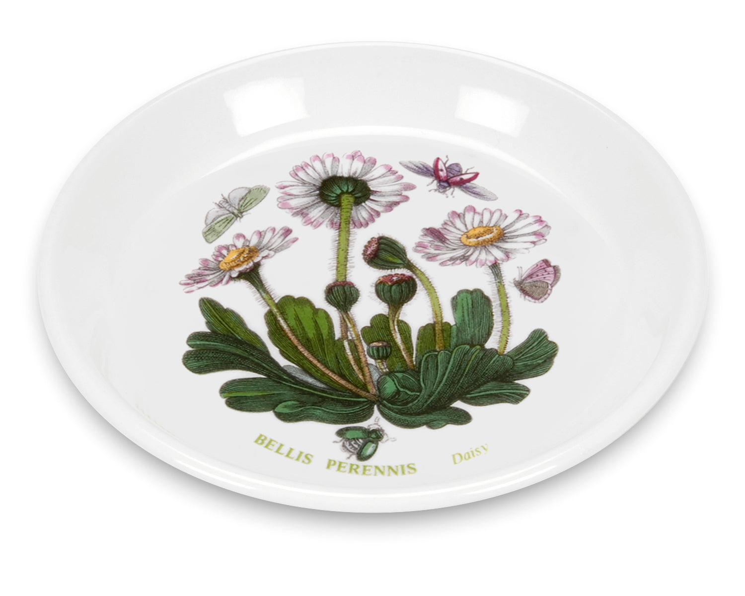 Botanic Garden Sweet Dish (pair) 10cm Boxed Set