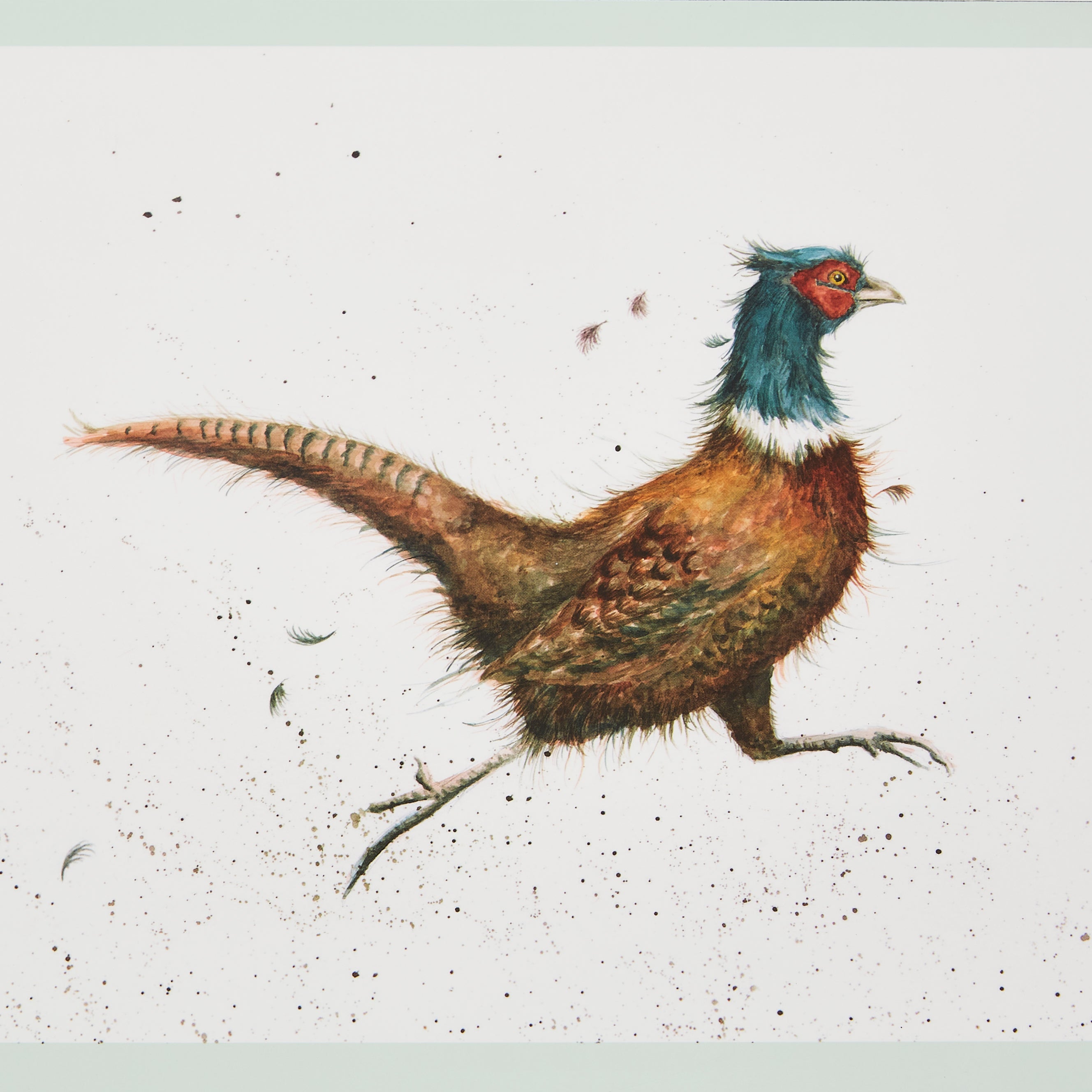 Wrendale Designs Wrendale Placemats - Set of 6 30.5 x 23cm Boxed Set