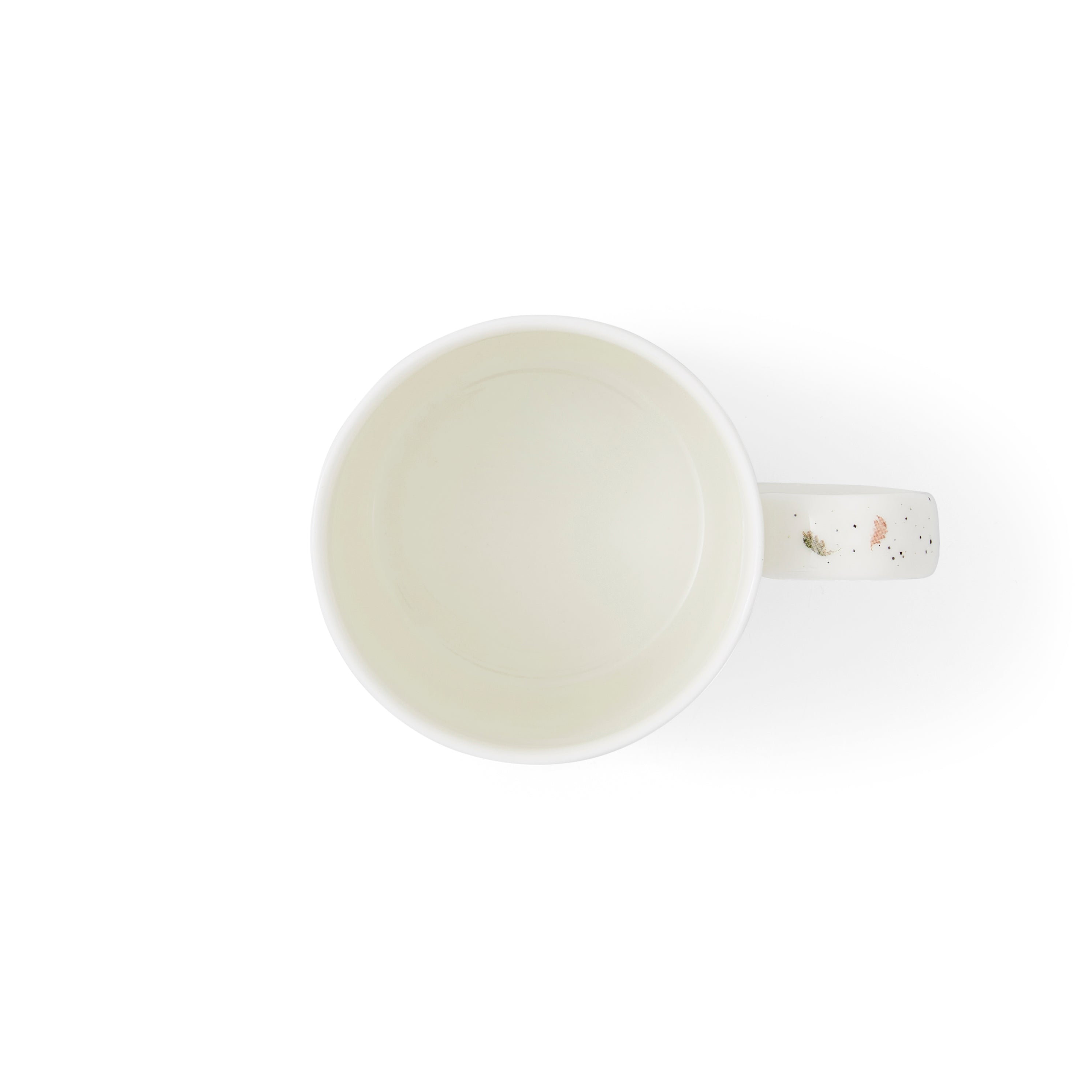 Royal Worcester Wrendale Designs Born to be Wild (Fox) 0.31L Set of 6