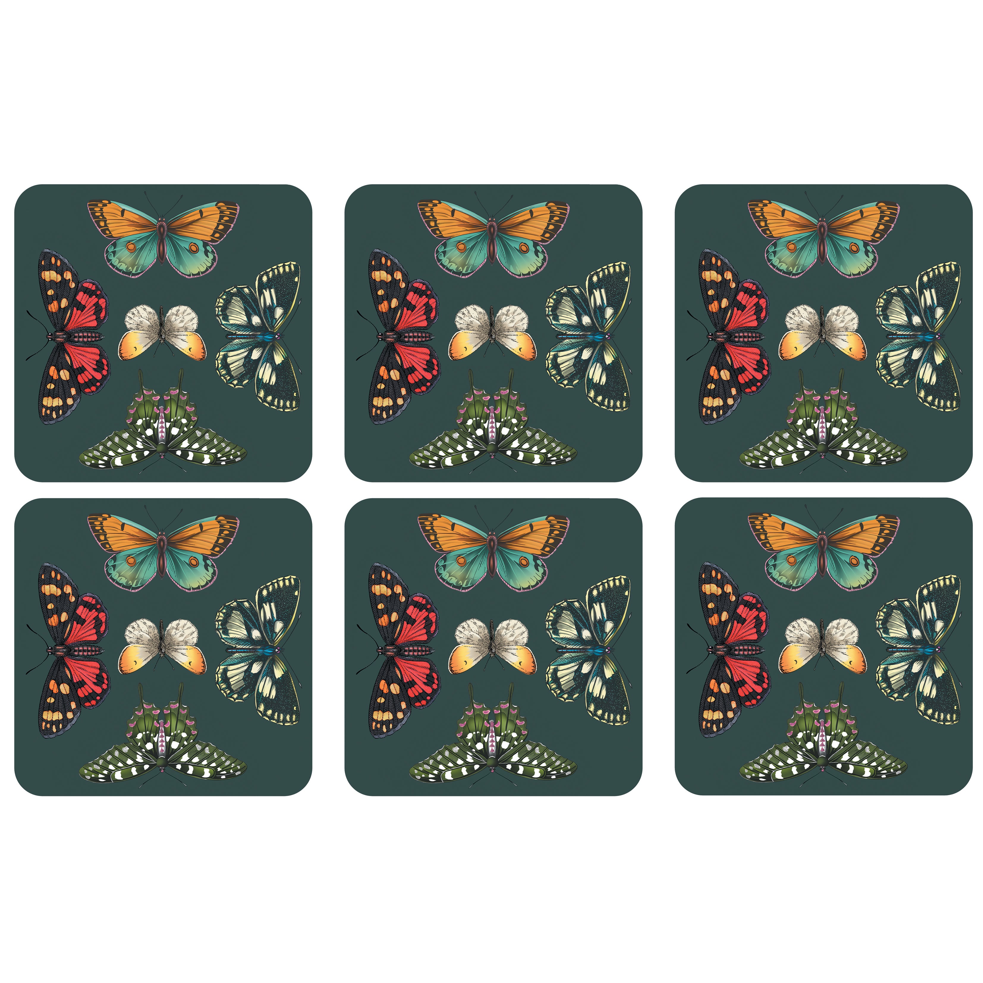 Botanic Garden Harmony Coasters S/6 (s) 10.5 x 10.5cm Boxed Set