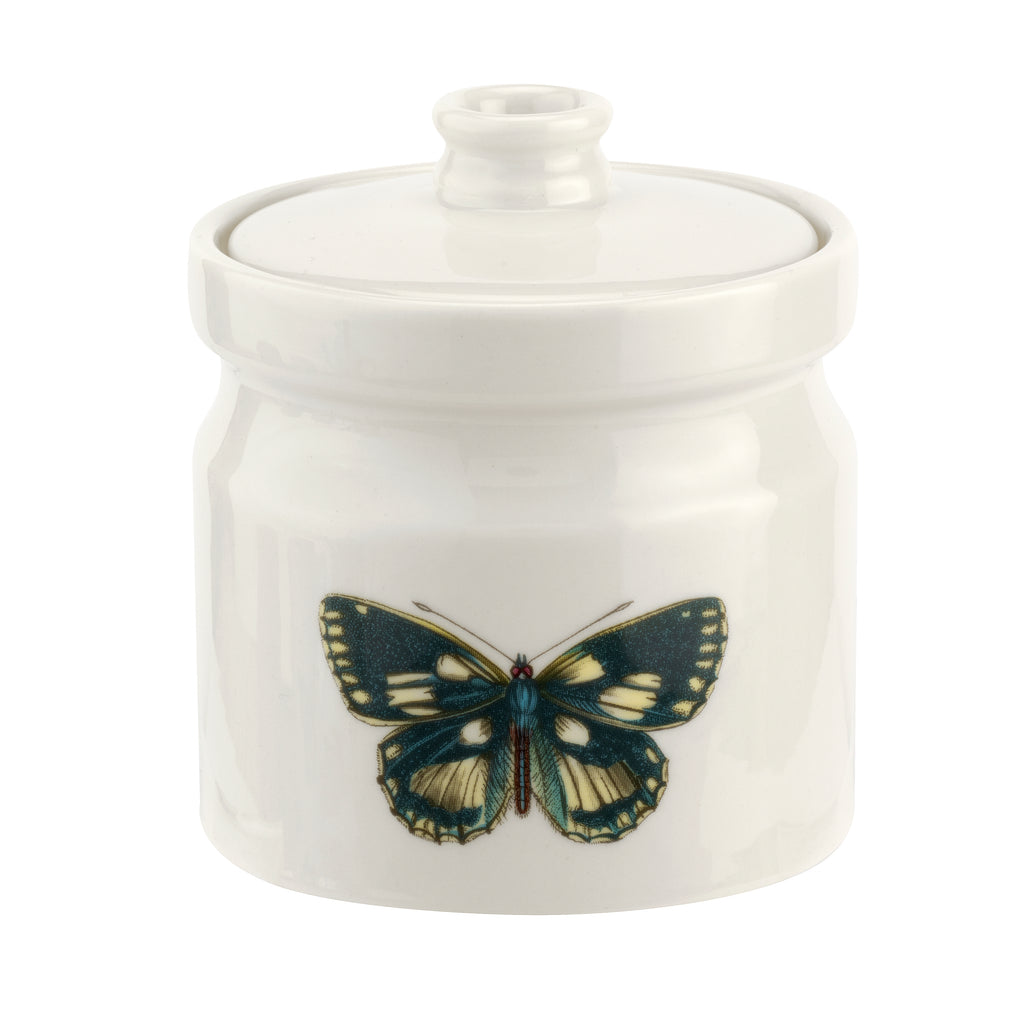 Covered Sugar 0.28L Single