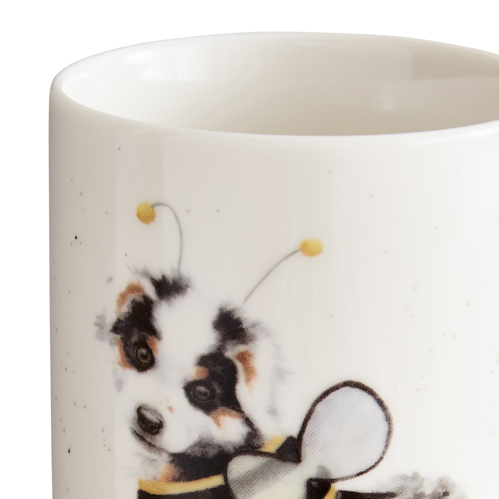 WrenWrendale Designs - Halloween Collectiondale Designs Coloured Collection Mug & Tray Set (Cats & Dogs) Mug 0.30L 
Tray 21 x 14cm Single