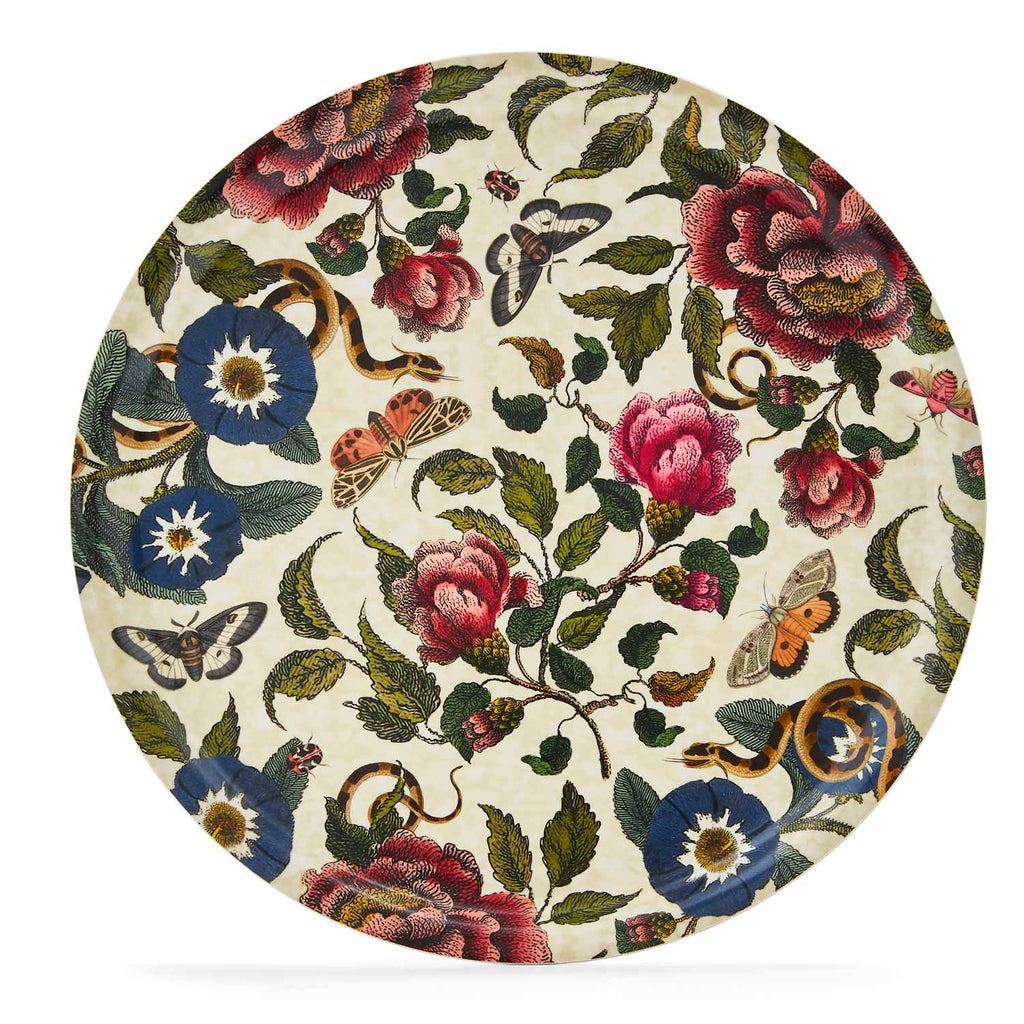 Creatures of Curiosity Set of 3 Trays
