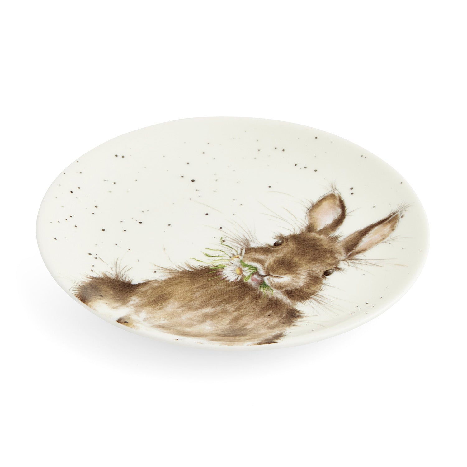 The Easter Collection Coupe Plates - Set of 2 (Bunny & Duckling) 16.5cm Boxed Set