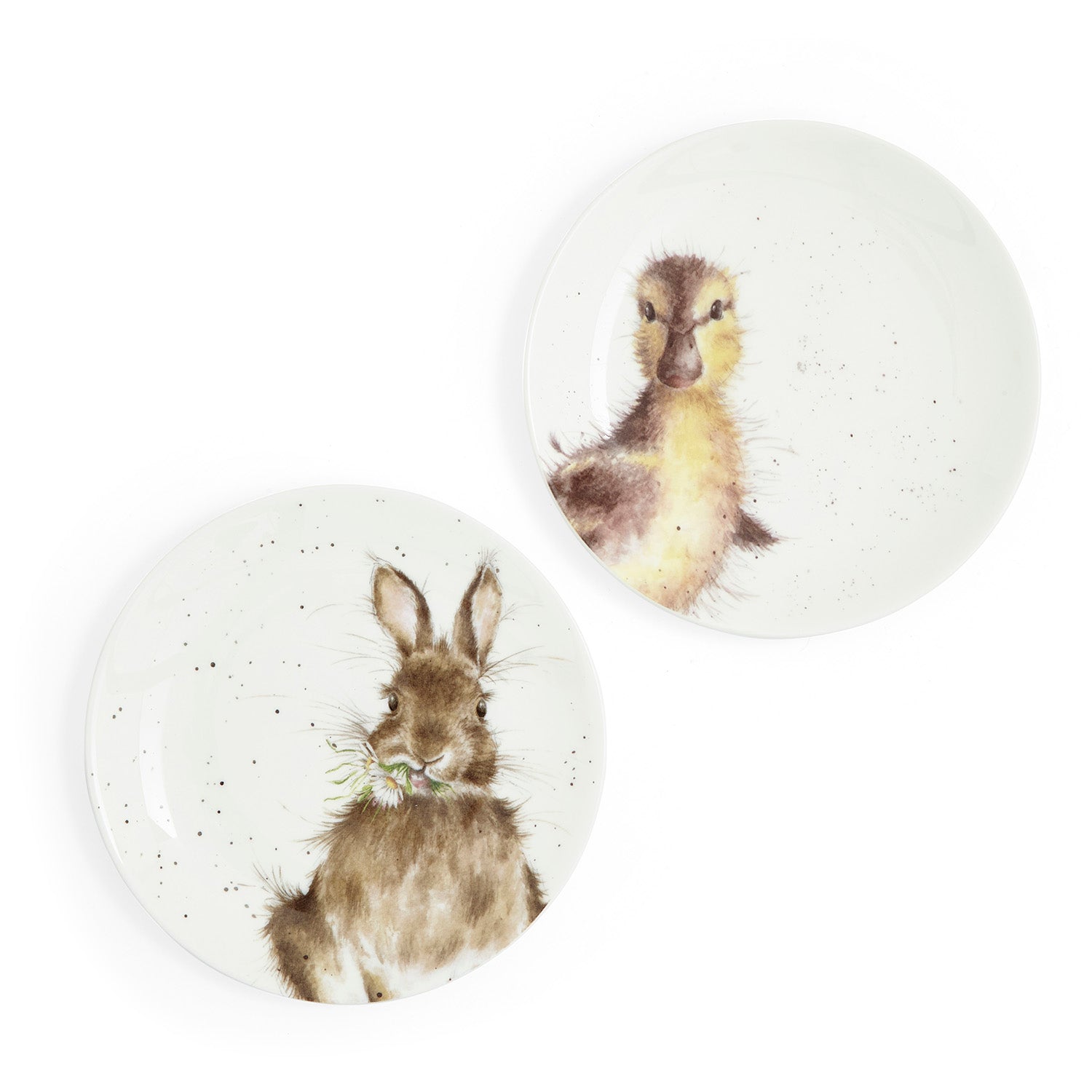 The Easter Collection Coupe Plates - Set of 2 (Bunny & Duckling) 16.5cm Boxed Set