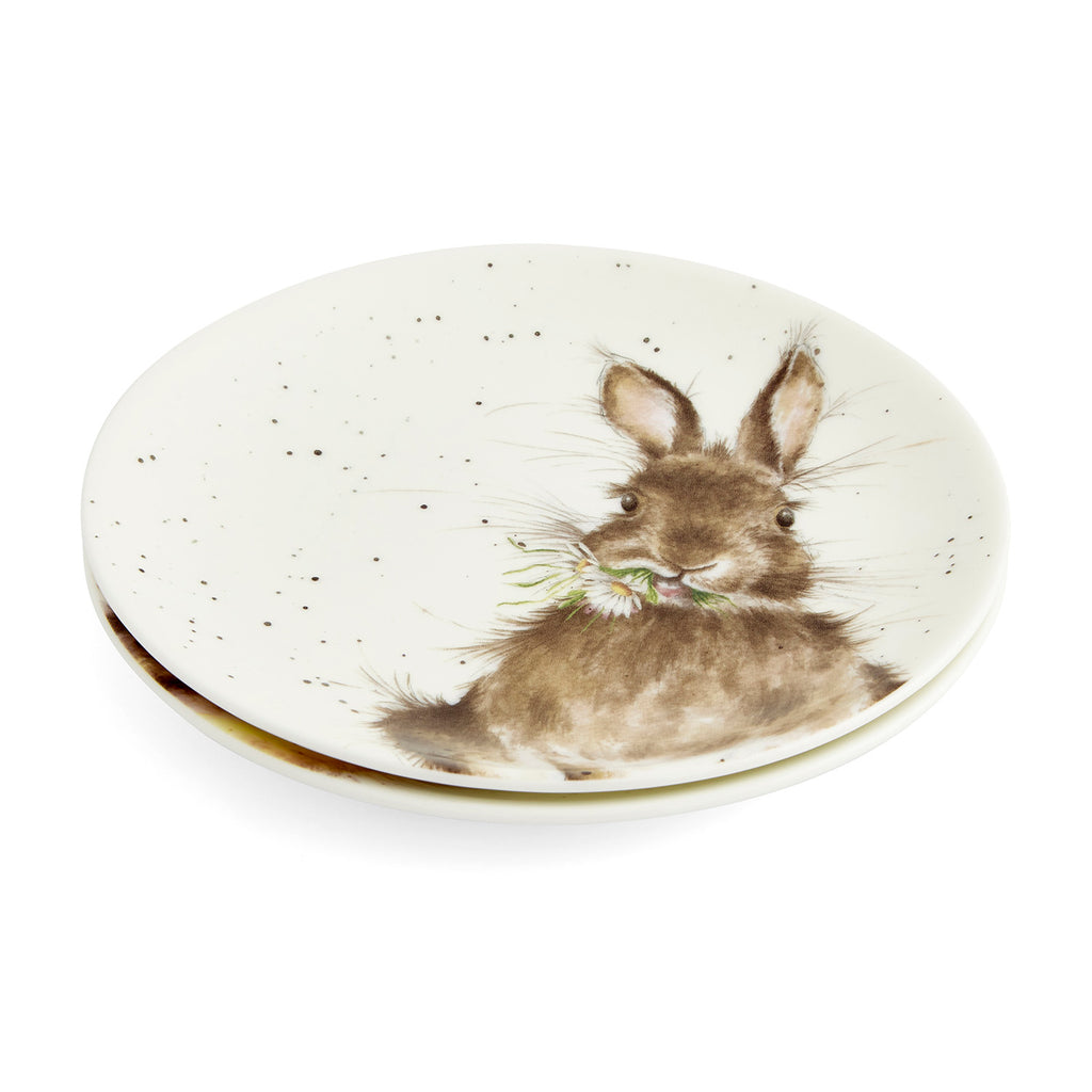 The Easter Collection Coupe Plates - Set of 2 (Bunny & Duckling) 16.5cm Boxed Set