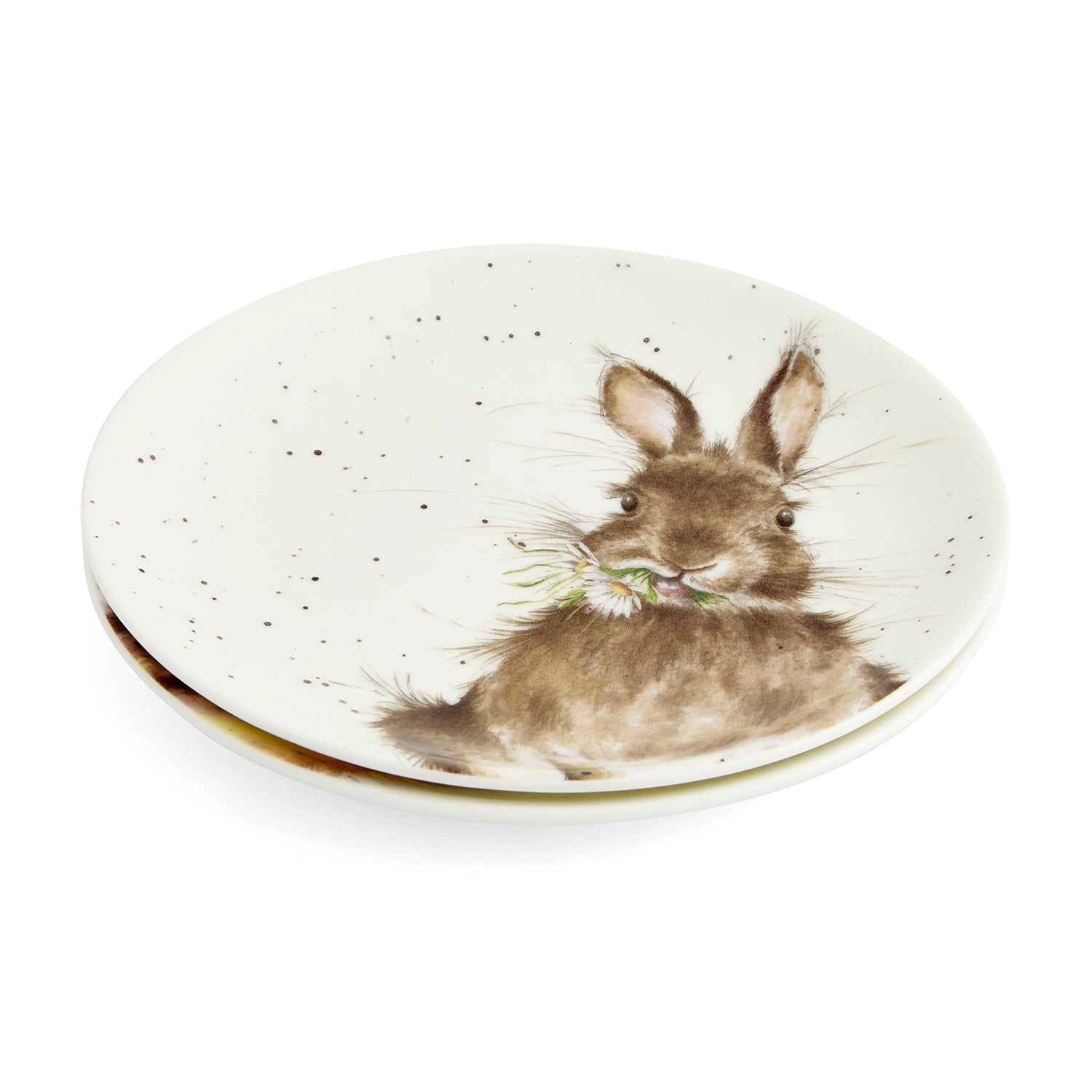 The Easter Collection Coupe Plates - Set of 2 (Bunny & Duckling) 16.5cm Boxed Set