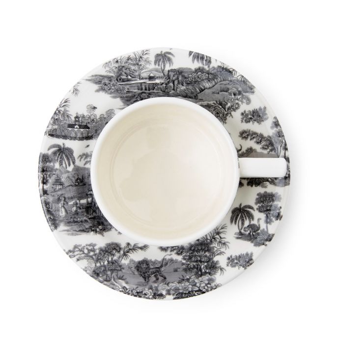 Zoological Gardens Teacup & Saucer, Mono