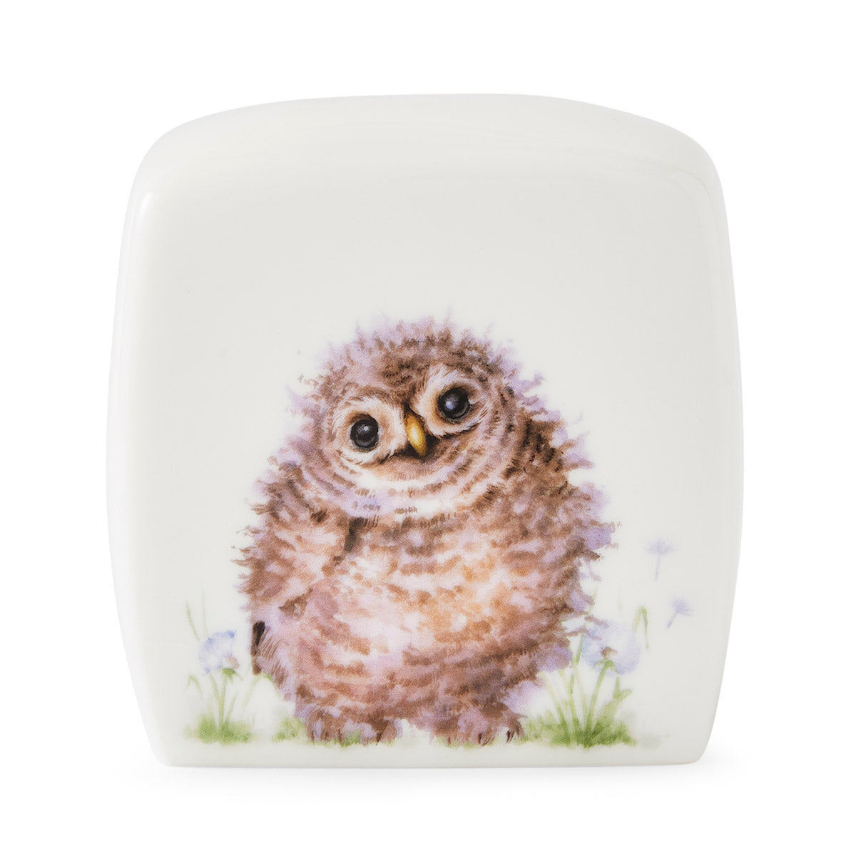 Royal Worcester Wrendale Designs Money Box 10cm Single