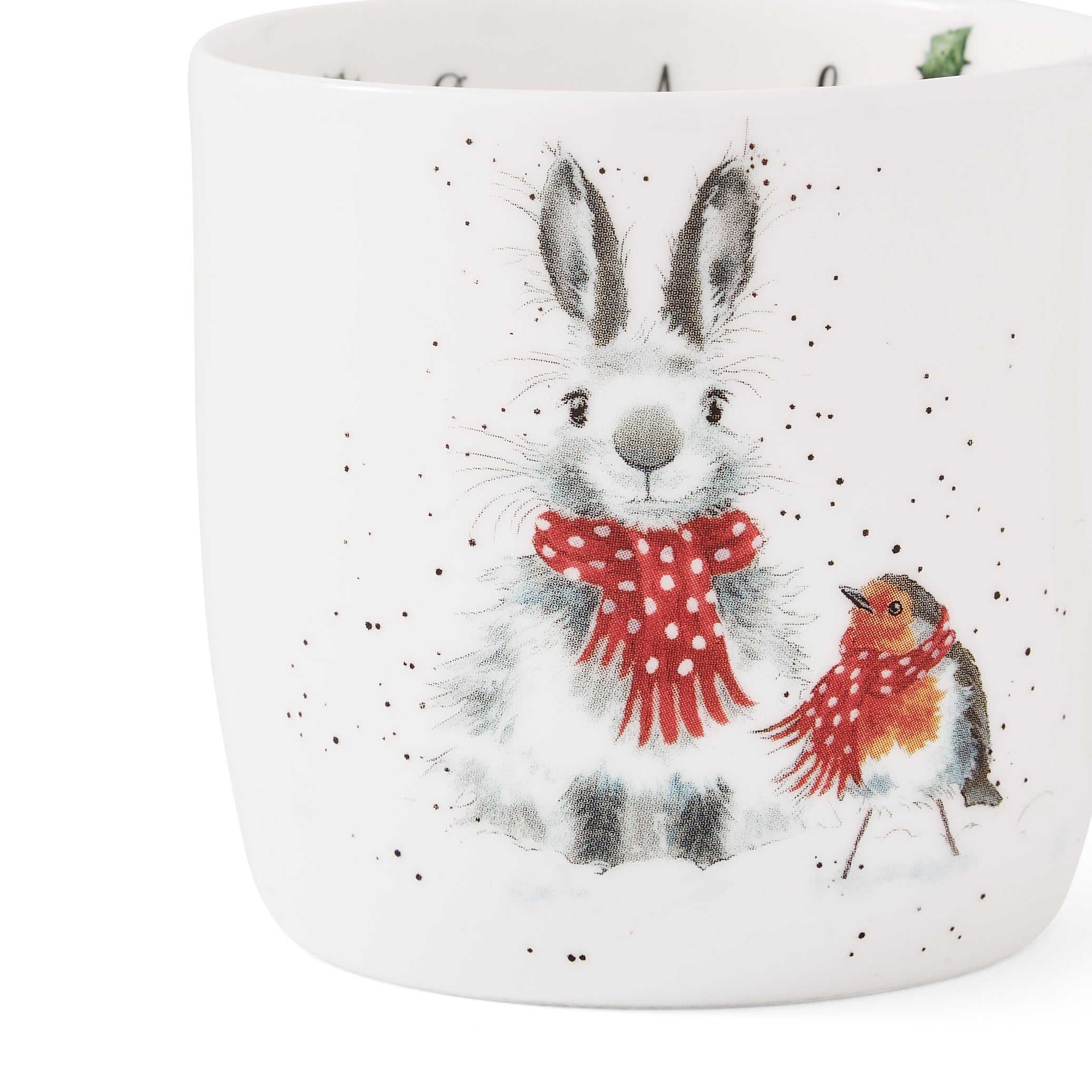 WreWrendale Designs - Christmas Collectionsndale Designs Coloured Collection Snow Angel (Rabbit & Robin) 0.31L Set of 6