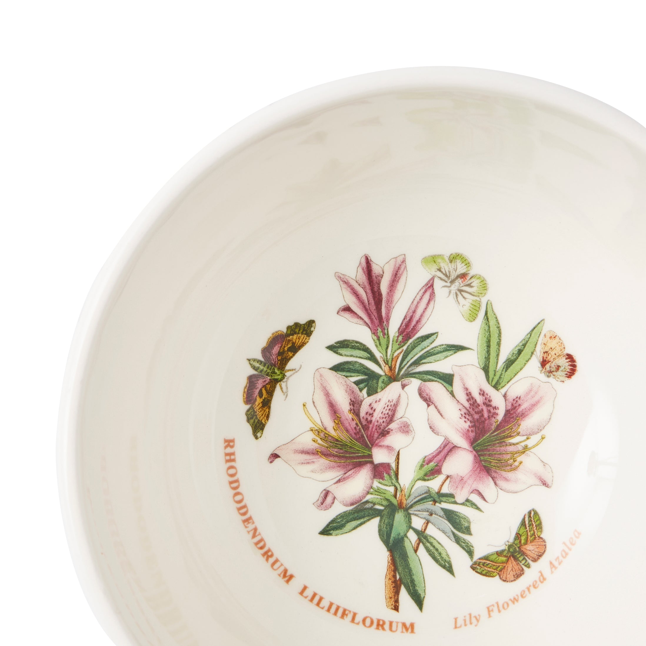Botanic Garden Meadow Stacking Bowl 5" - Assorted 12.5cm Set of 6