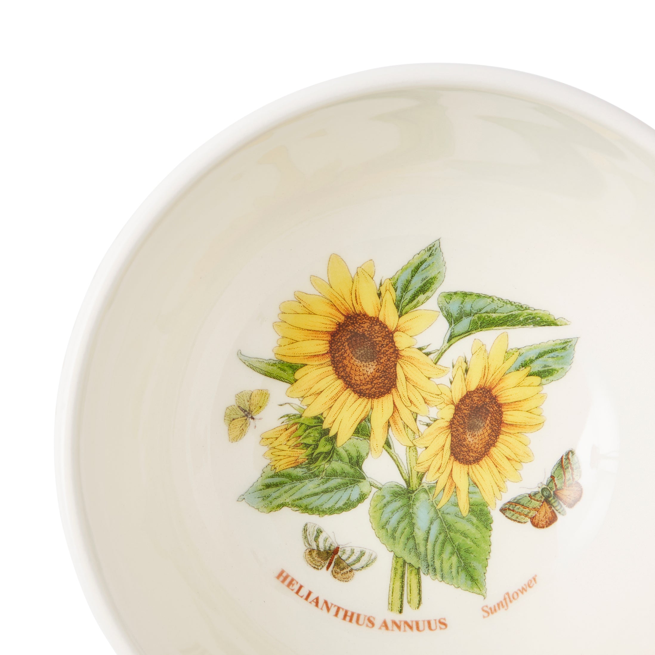 Botanic Garden Meadow Stacking Bowl 5" - Assorted 12.5cm Set of 6
