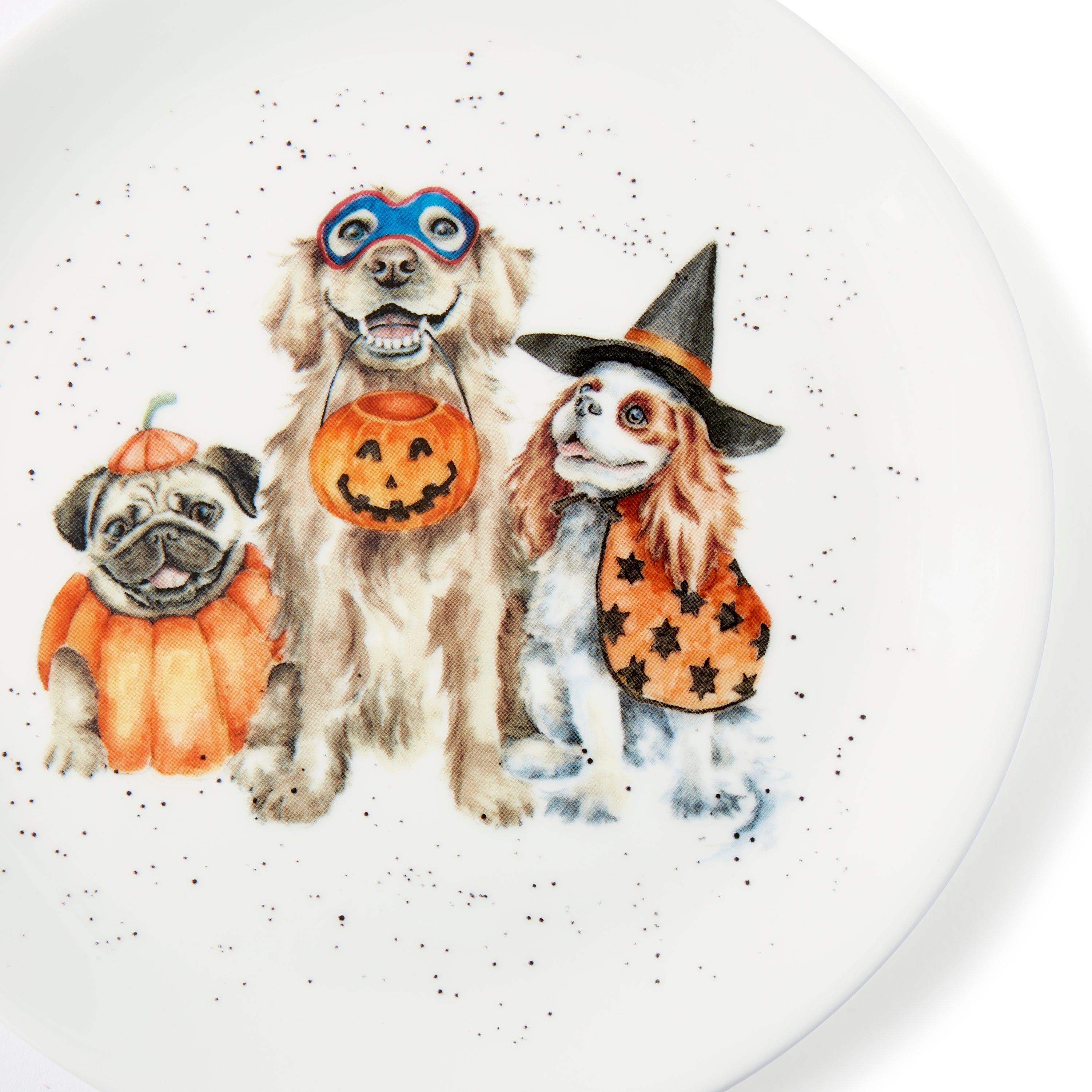 WrenWrendale Designs - Halloween Collectiondale Designs Coloured Collection Coupe Plate - Trick or Treat (Dogs) 20cm Single