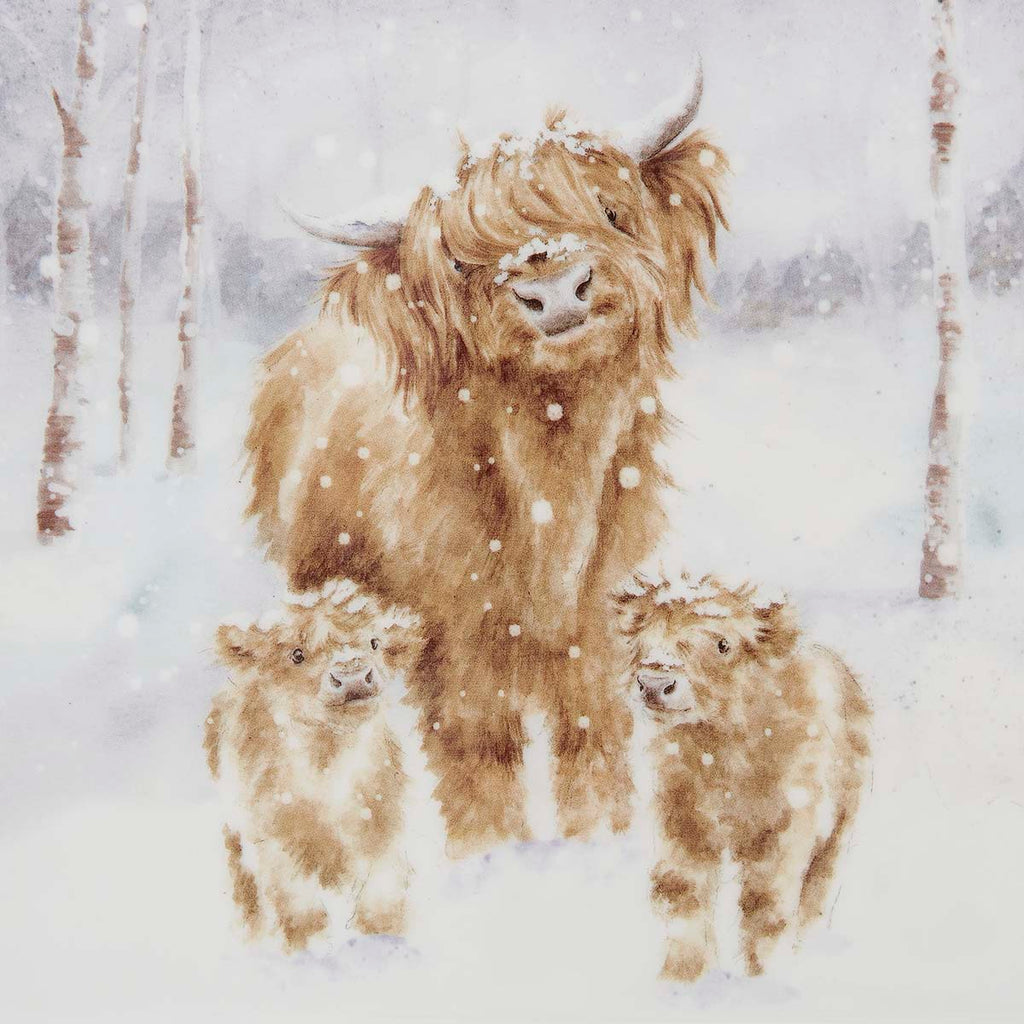 NEW Wrendale Designs - Little Wren Square Plate (Highland Cow) 23cm x 23cm Single