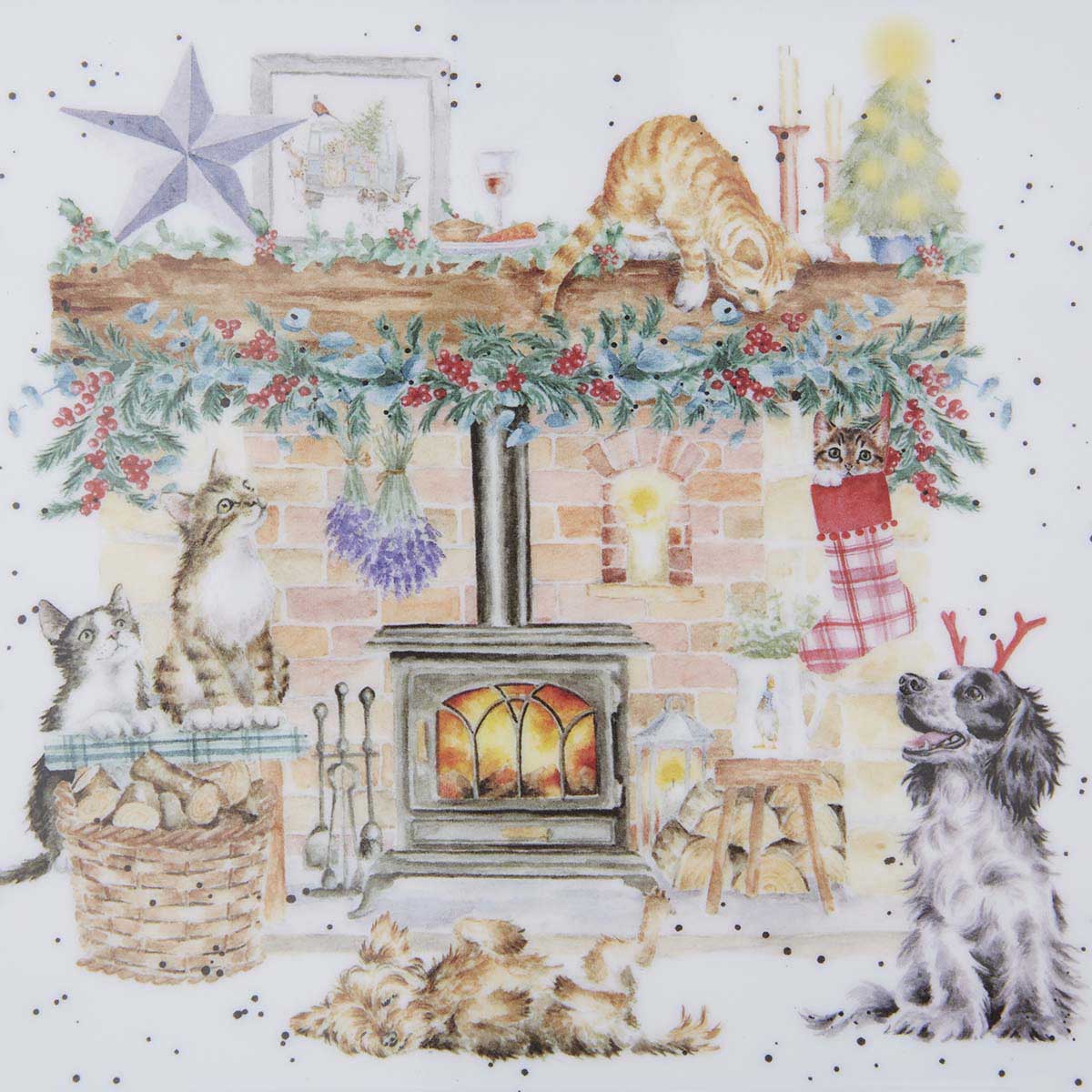 " NEW Wrendale Designs - Little Wren There is no place like Home (Cats & Dogs) Mug 0.18L 
Tray 21 x 14cm Single "