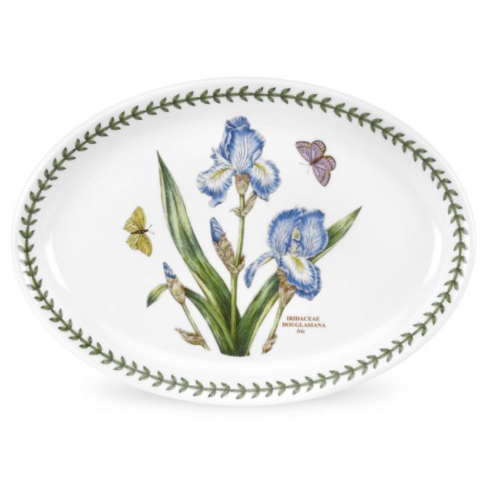 Portmeirion Botanic Garden Oval Platter 11 Inch Set of 6