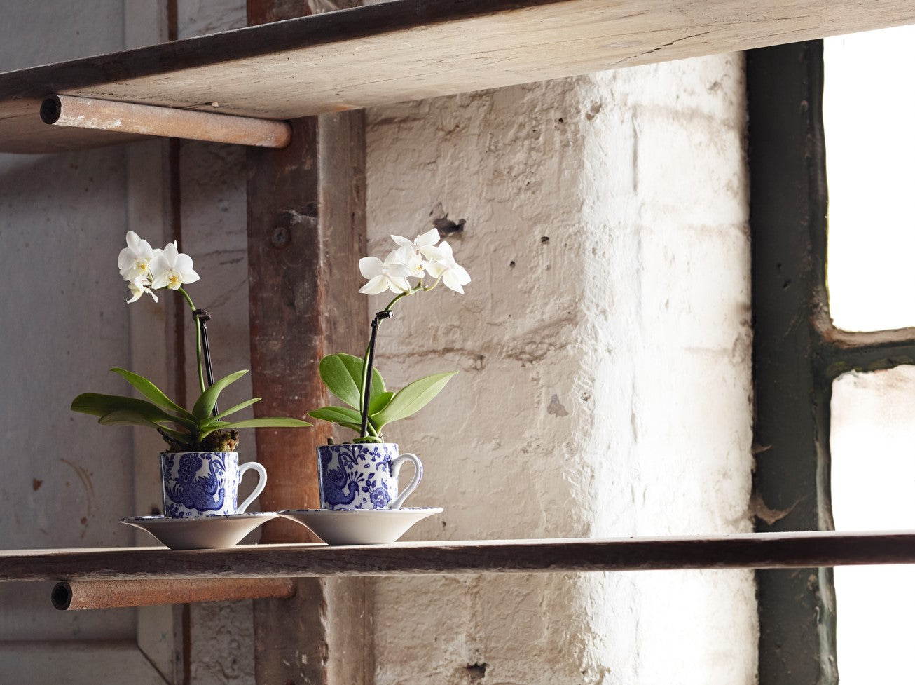 Burleigh Blue Regal Peacock Espresso Saucer