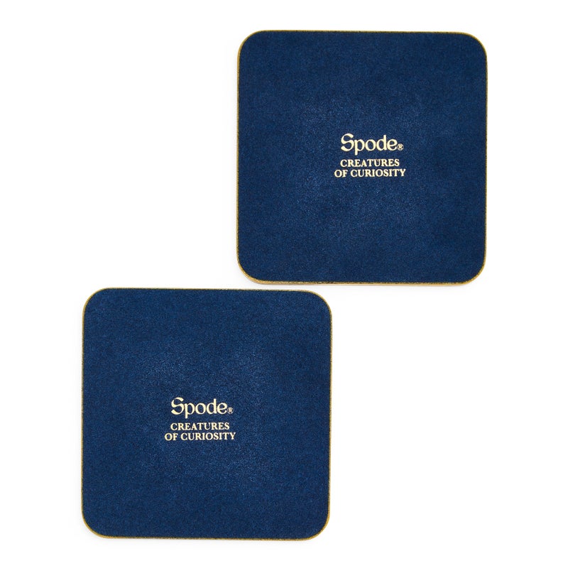 Creatures of Curiosity Set of 6 Coasters