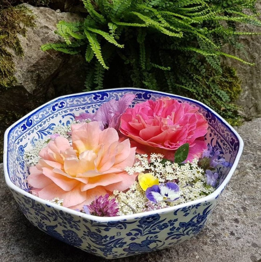 Burleigh Blue Regal Peacock Octagonal Bowl Medium 20.5cm