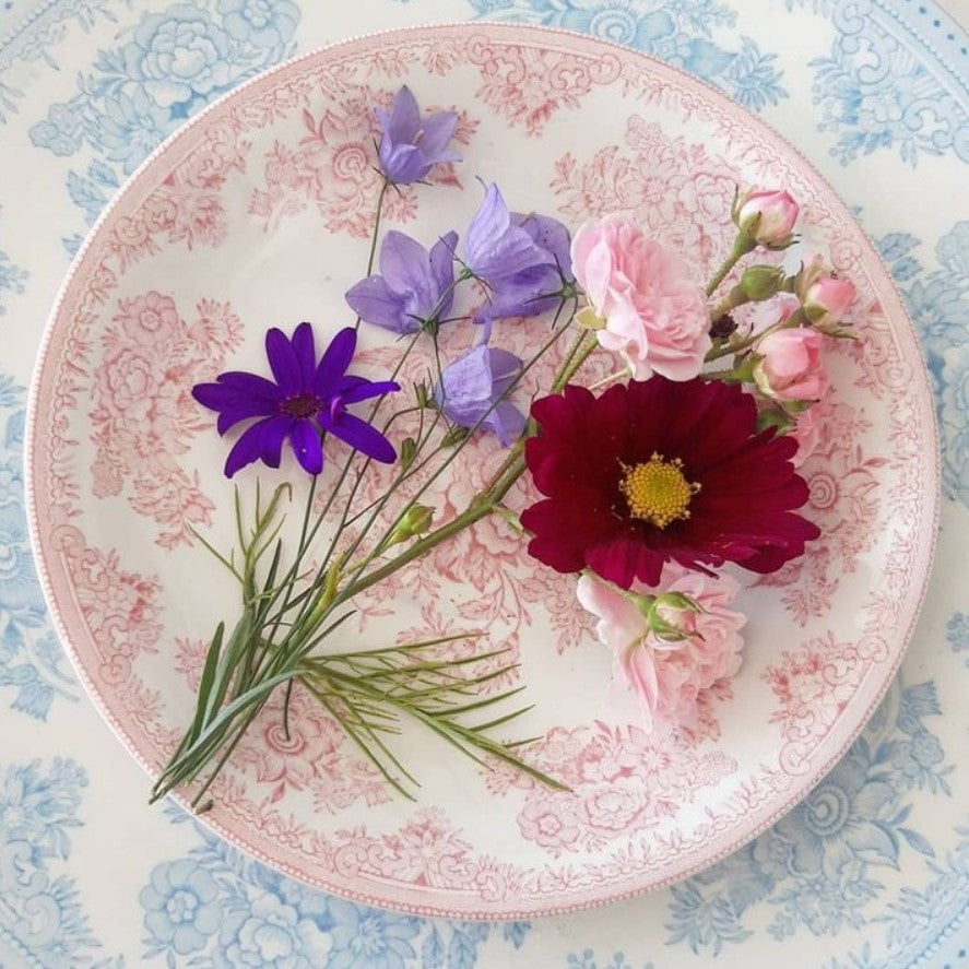Burleigh Pink Asiatic Pheasants Plate 22cm